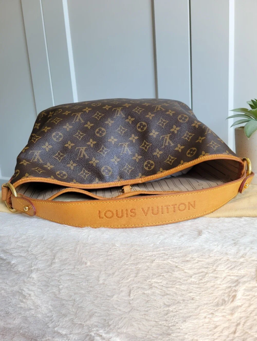 Louis Vuitton DELIGHTFUL PM Hobo Shoulder Bag Monogram